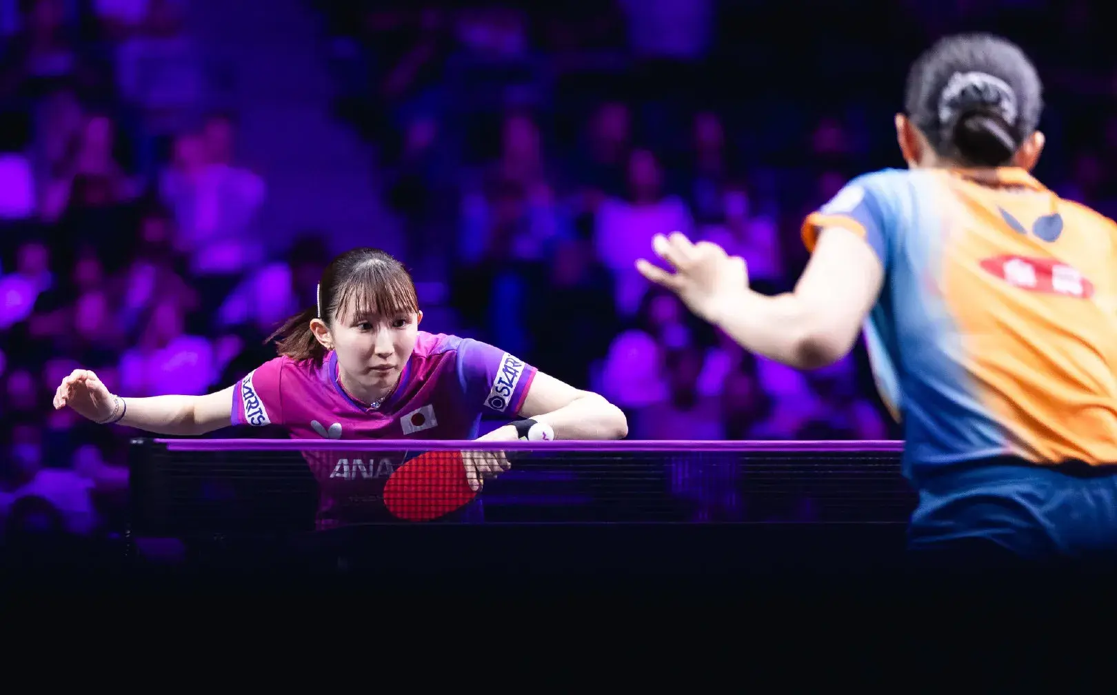 amp, msn, 对拉环节依