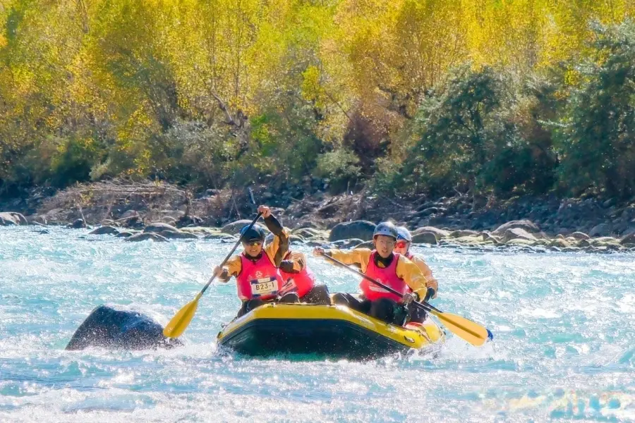 支队伍的, 体育局, 级积分赛道