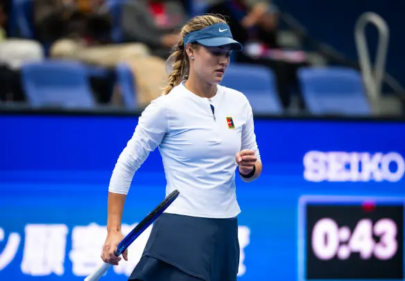 解释, 将卡恰诺夫, imedi